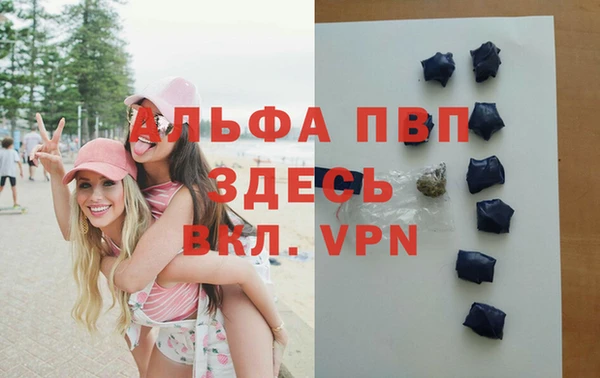 спиды Волосово